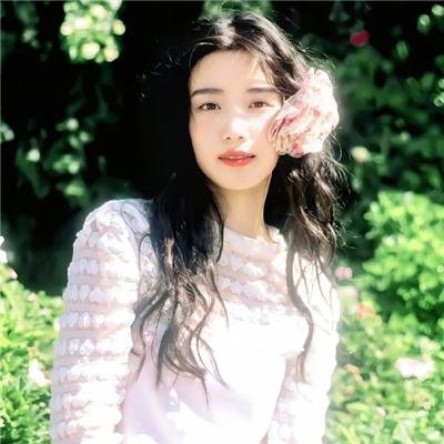 猪猪侠·一只老猪的逆袭